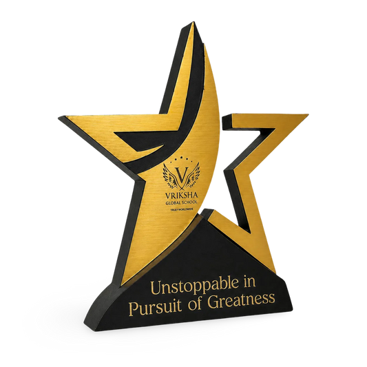 Custom Star Performer Awards - Wood & Acrylic Trophy