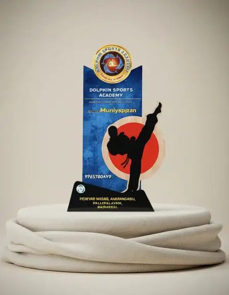 Trophy with silhouette of a martial artist and Dolphin Sports Academy logo on a beige background