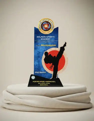 Trophy with silhouette of a martial artist and Dolphin Sports Academy logo on a beige background