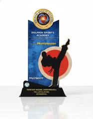 Dolphin Sports Academy promotional standee with contact information on a white background