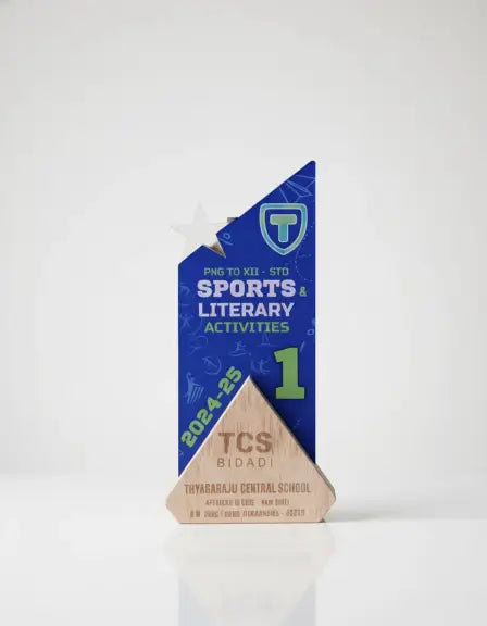 TCS Sports & Literary Activities award with blue and beige design on a white background