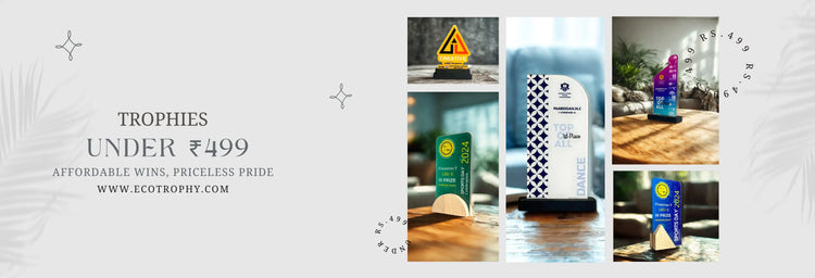 Trophies Under ₹499 - Affordable Awards Collection