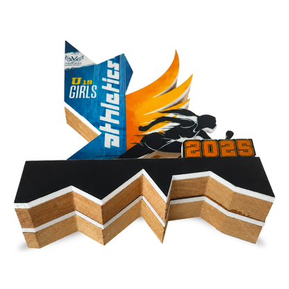 Athletic Trophies - Premium Sports Awards for Winners