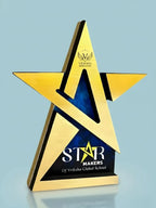 Gold star-shaped award with 'Star Makers of Vriksha Global School' text on a light blue background
