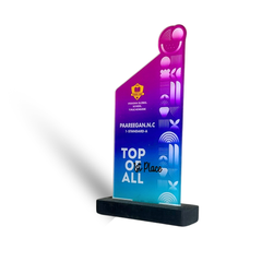 Personalized First Place Trophy - Custom Award for Outstanding Achievement