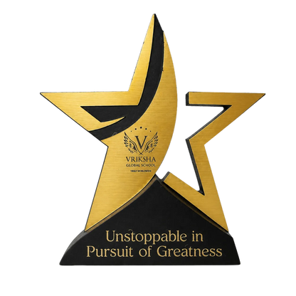 Custom Star Performer Awards - Wood & Acrylic Trophy