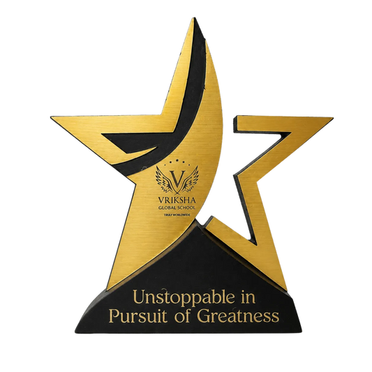 Custom Star Performer Awards - Wood & Acrylic Trophy