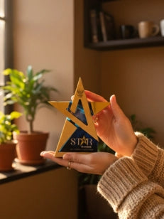 Person holding a star-shaped product with 'SPLAT' branding in a home setting.