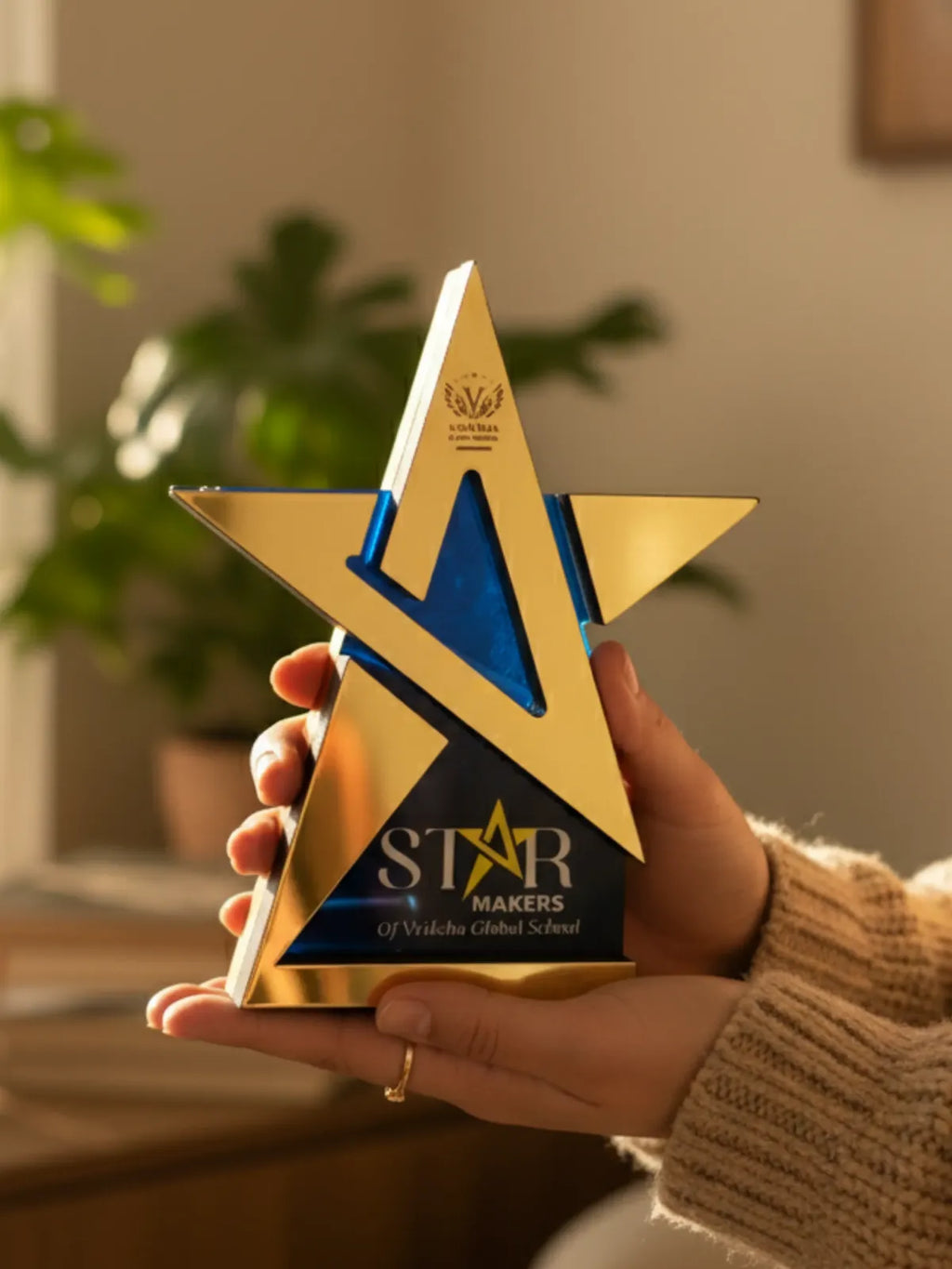 Gold star-shaped award with blue center held by a person indoors.