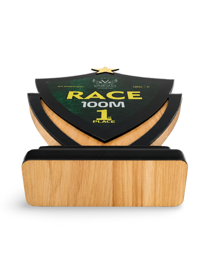 Unique Champion's Shield Trophy - Custom First Place Award