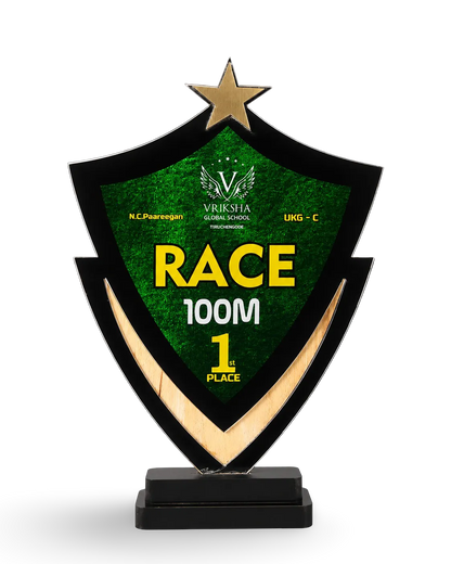 Unique Champion's Shield Trophy - Custom First Place Award