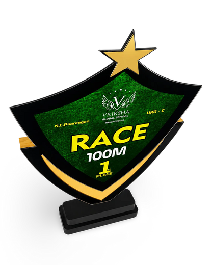 Unique Champion's Shield Trophy - Custom First Place Award