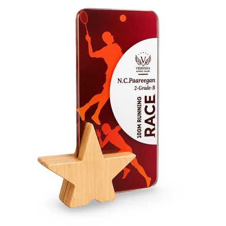 Shop Personalized Star Trophies | School Awards
