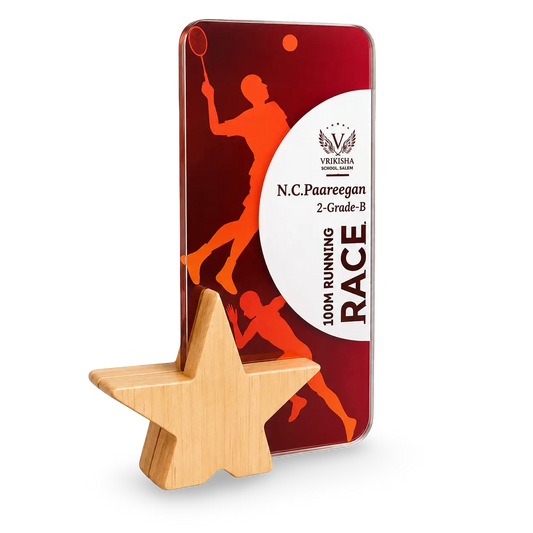Shop Personalized Star Trophies | School Awards