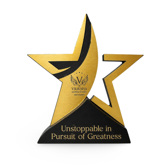 Custom Star Performer Awards - Wood & Acrylic Trophy