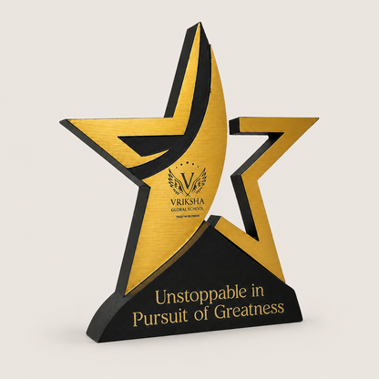 Custom Star Performer Awards - Wood & Acrylic Trophy