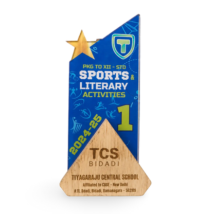 Premium Sports Trophy - Exclusive First Place Award