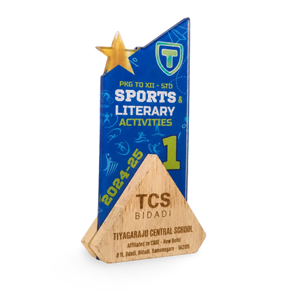 Premium Sports Trophy - Exclusive First Place Award
