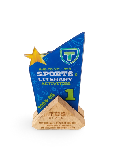 Premium Sports Trophy - Exclusive First Place Award