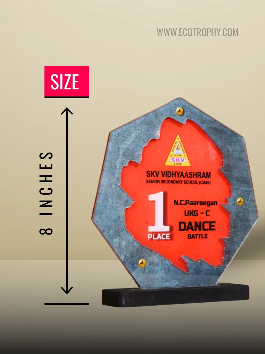 Premium classical dance trophies and shield awards from Tamil Nadu – EcoTrophy