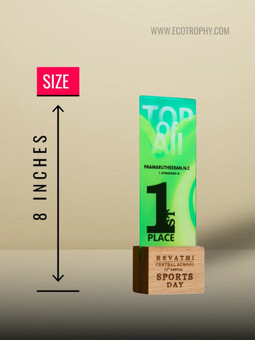 Top of the Class Trophy | Unique Design | Shield Momento Prize Awards