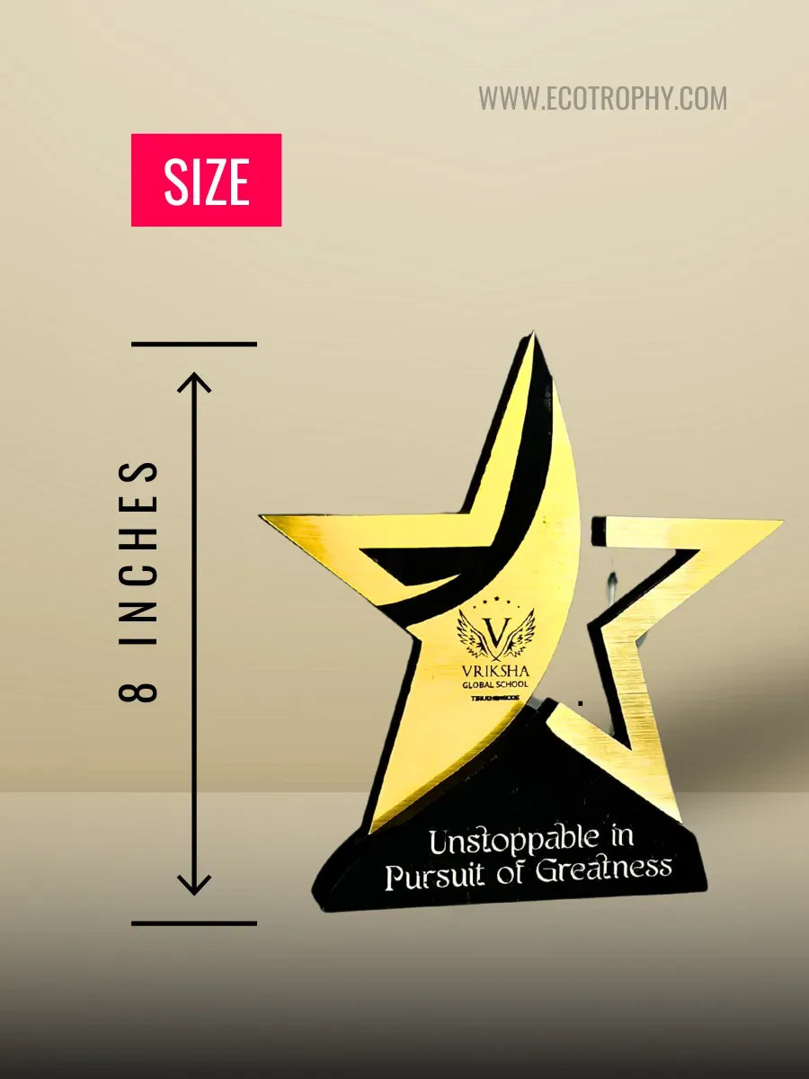 star-performer-trophy-2025