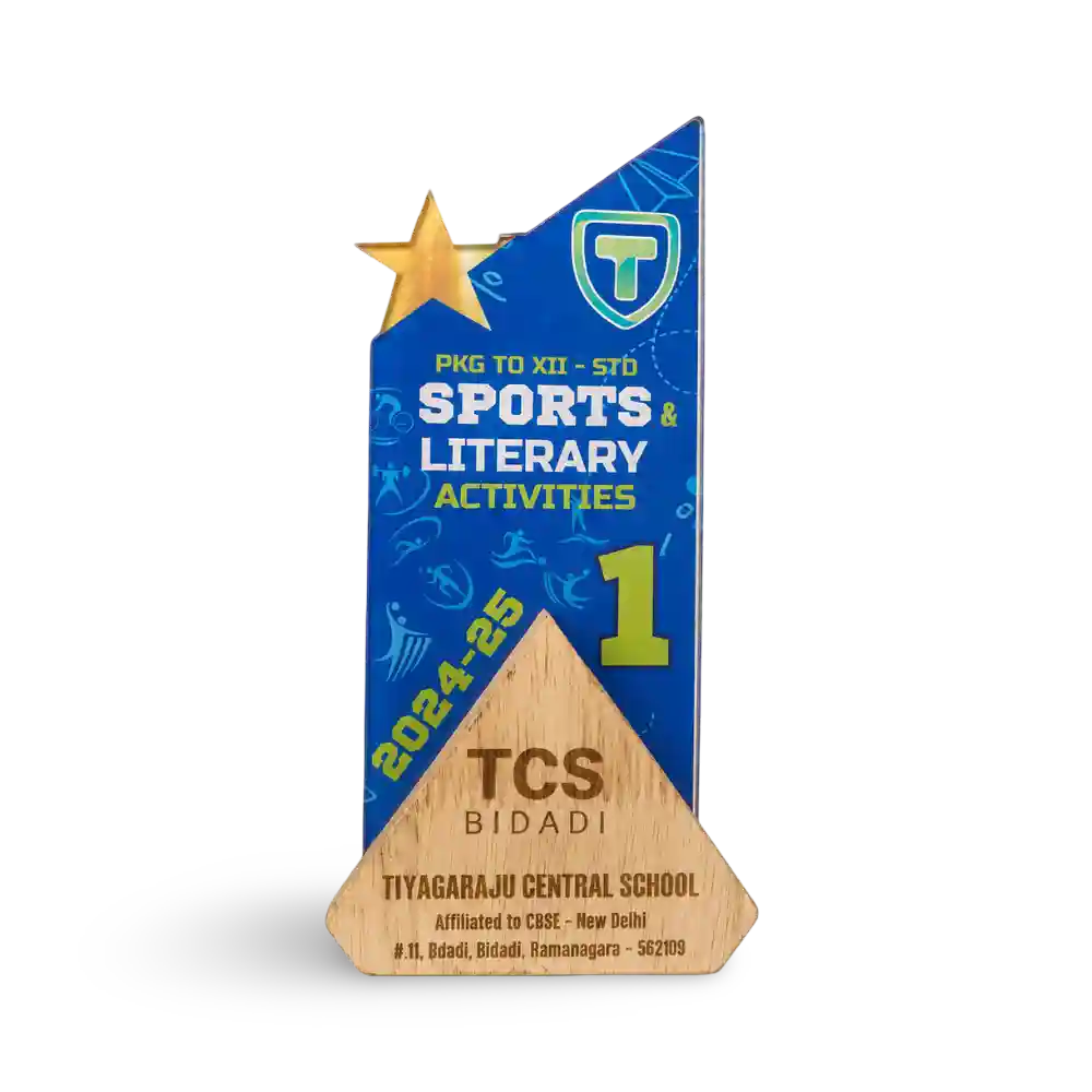 Acrylic Sports Trophy – Premium First Place Award