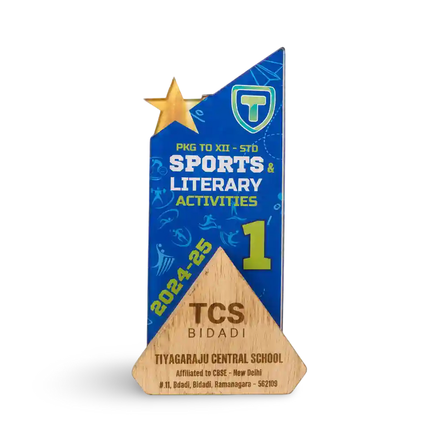 Acrylic trophies India – premium sports trophy first place award