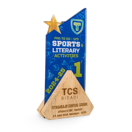 Acrylic Sports Trophy – Premium First Place Award