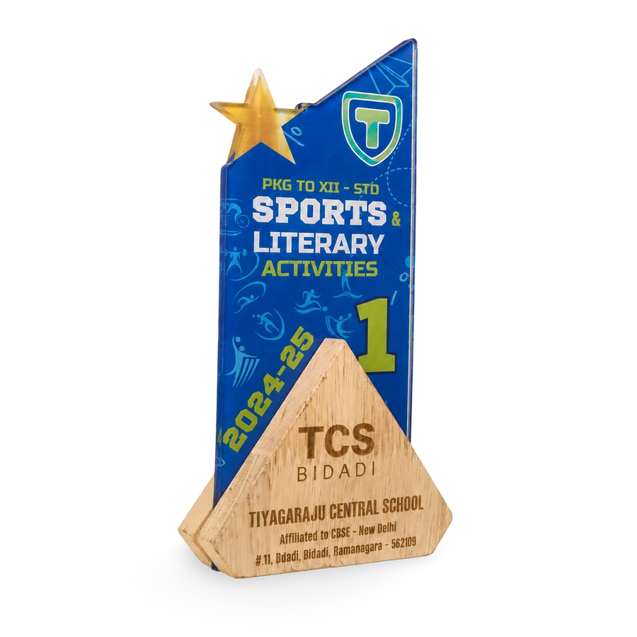Sports trophy custom engraved 8 inch 9 inch 10 inch acrylic India