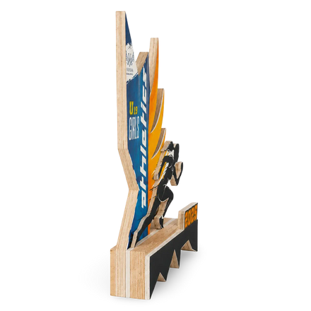 Olympic Trophies | Athletic Trophies – Premium Sports Award India