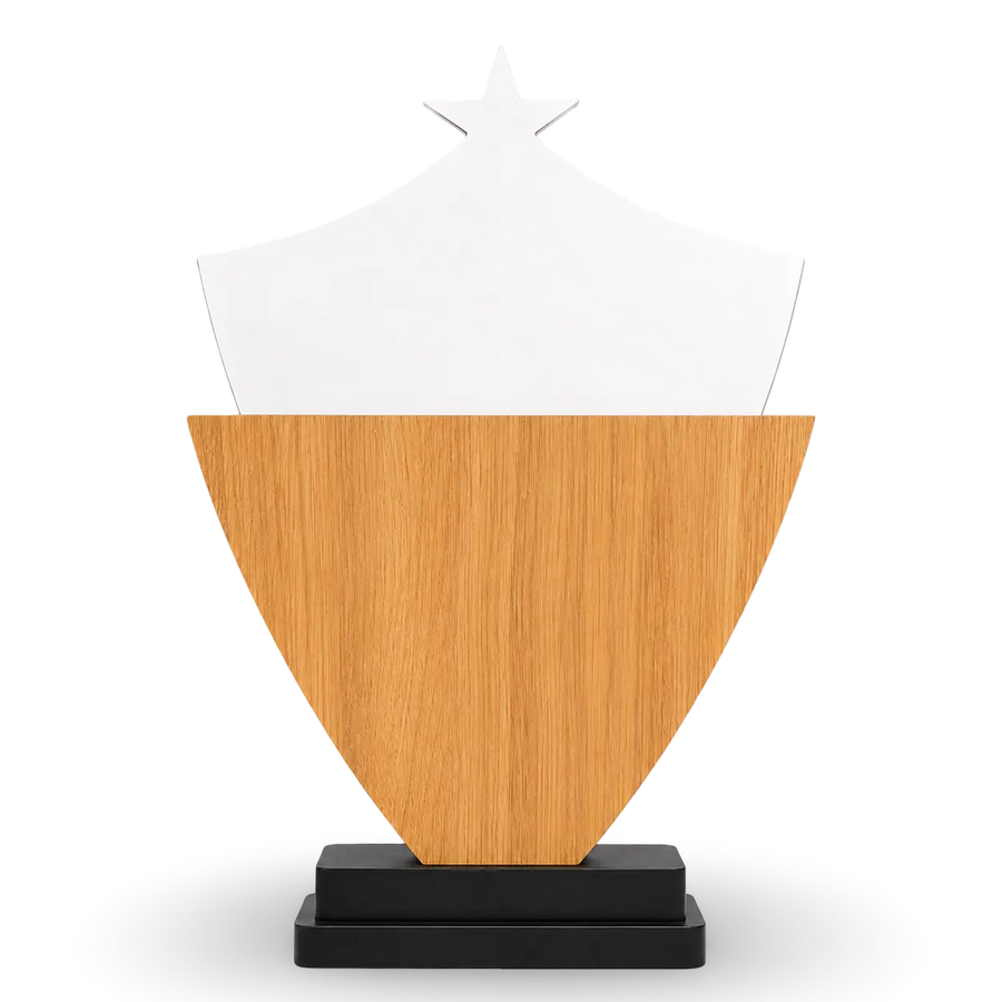 Champion shield trophy 10 inch 12 inch 14 inch bulk order India