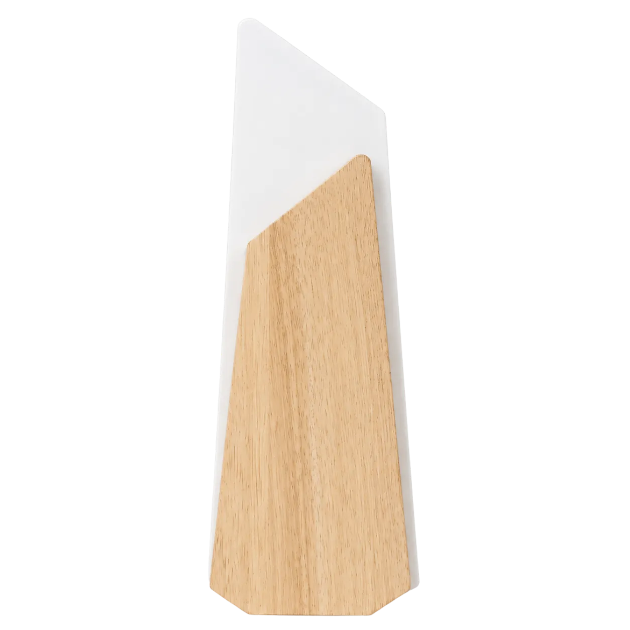 Doctor trophy shown in 8, 10 and 12 inch size options