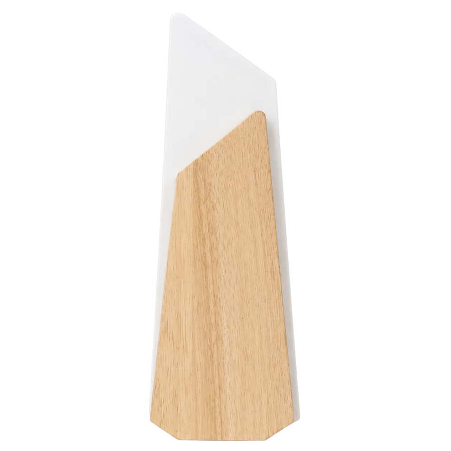 Doctor trophy shown in 8, 10 and 12 inch size options