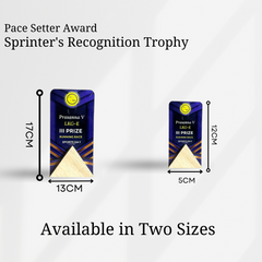 Personalized Sports Trophy - Custom Award for Third Place Winner