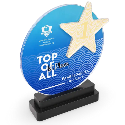 Premium crystal award star design 10 inch custom engraved for top performer EcoTrophy