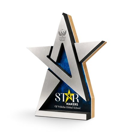 Star Trophy | Star Award Trophy – Custom Achiever Award India