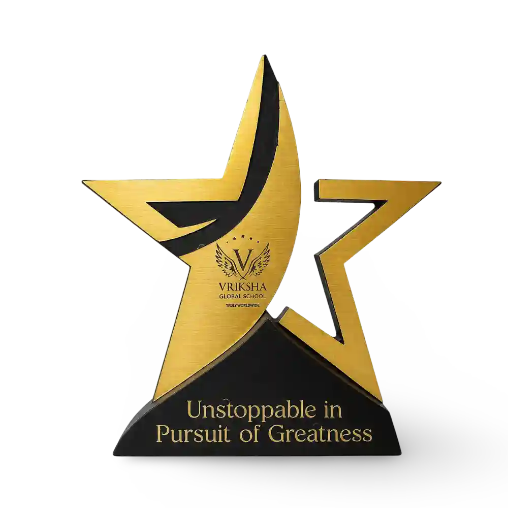 Star performer award for employee achievement recognition