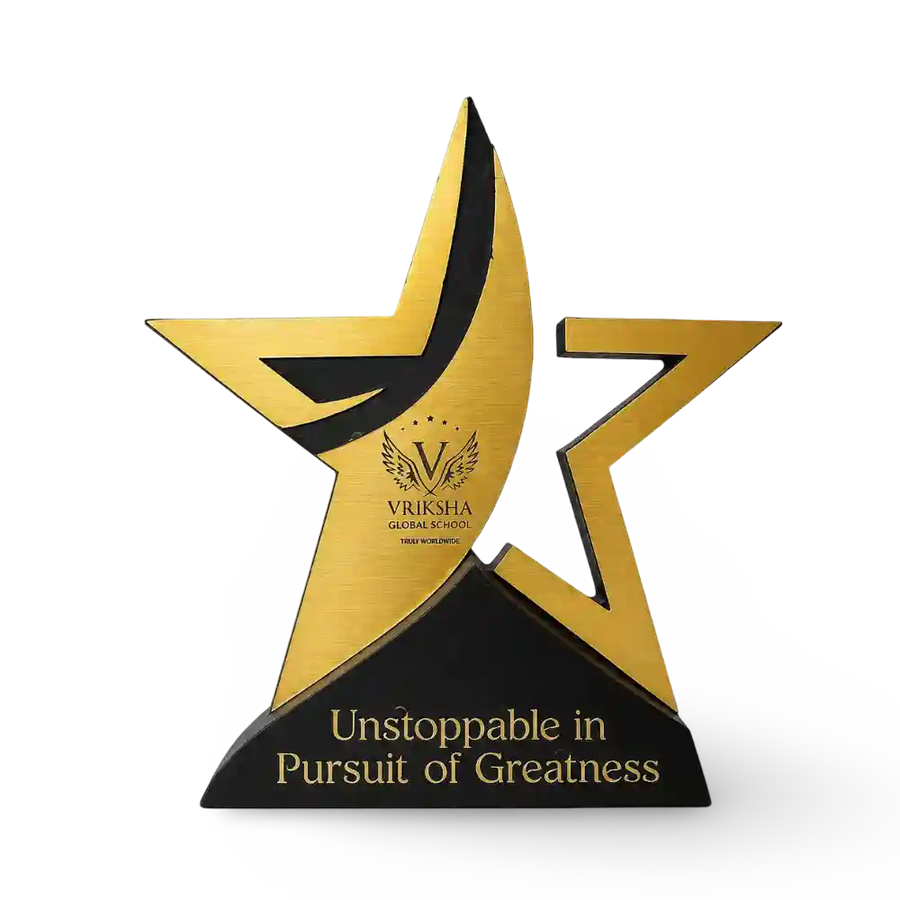 Star performer award for employee achievement recognition