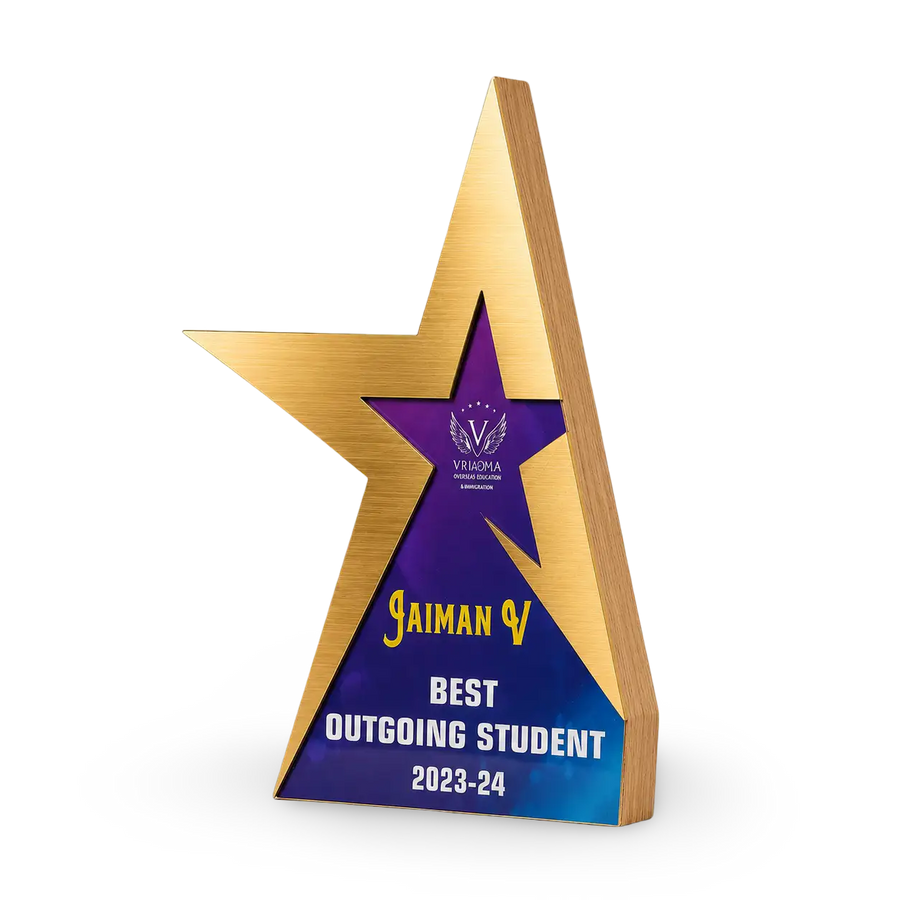 Student excellence award shown from an angled view