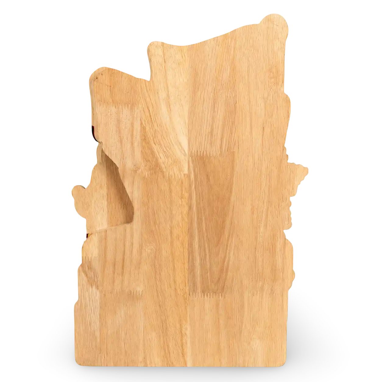 Tamil Nadu map-shaped wooden memento with 2026 political artwork