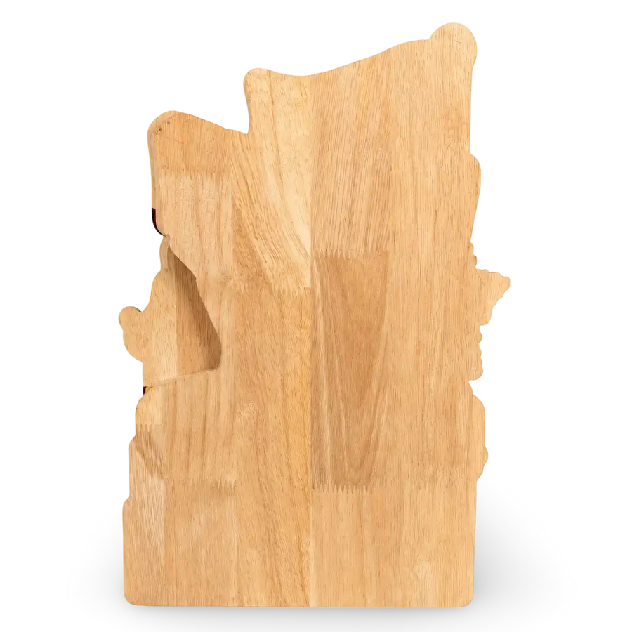 Tamil Nadu map-shaped wooden memento with 2026 political artwork