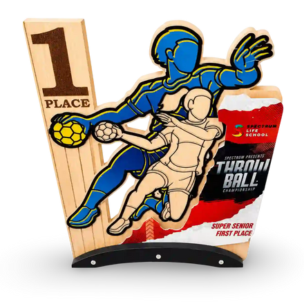 Throwball Trophy India – Sports Day & Championship Award