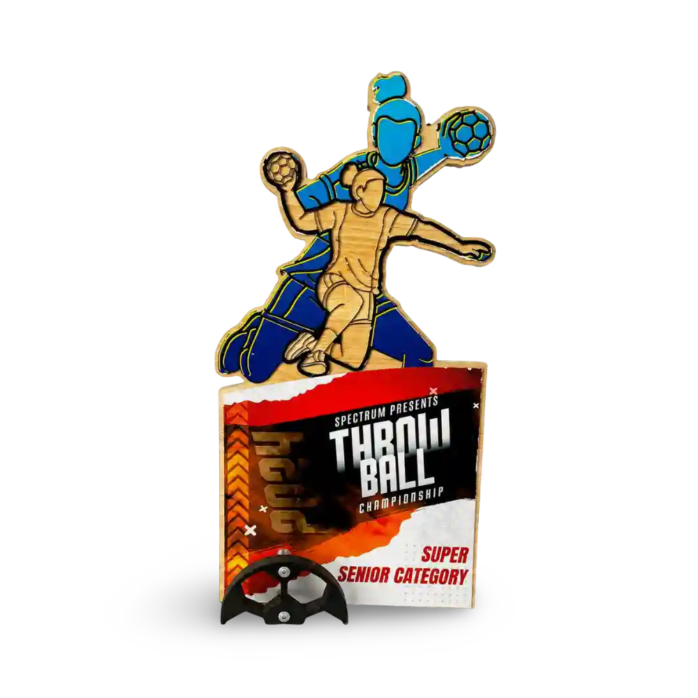 Throwball championship enamel pin on a printed display card